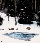 Sundance Spas and Hot Tubs