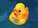 Sundance Spa Rubber Duck